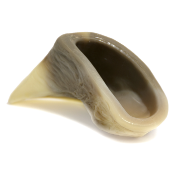 Nylabone - Копыто экстра-жесткое, аромат бекона, M