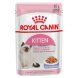 Royal Canin Kitten - Паучи для котят от 4 до 12 месяцев, в желе 85гр