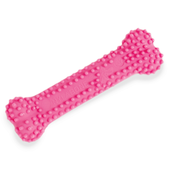 Nylabone - Косточка для зубов для щенков
