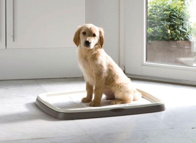 Savic - Puppy Trainer -Туалет для щенков Savic - Puppy Trainer -Туалет для щенков