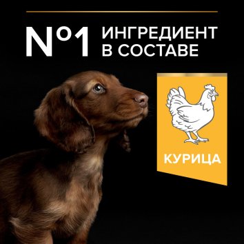 Pro Plan Optistart - Корм для щенков мелких пород, курица с рисом