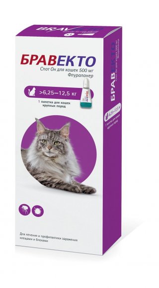 Intervet Бравекто Спот-Он - Капли от блох и клещей для кошек от 6,25 - 12,25 кг