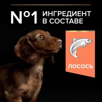 Pro Plan Sensitive - Сухой корм для щенков миниатюрных и мелких пород с лососем (Puppy Small & Mini Derma)
