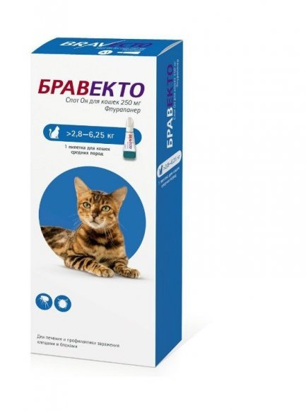 Intervet Бравекто Спот-Он - Капли от блох и клещей для кошек от 2,8-6,25 кг