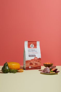 Kito - Сухой корм для взрослых собак мелких пород, с ягненком
