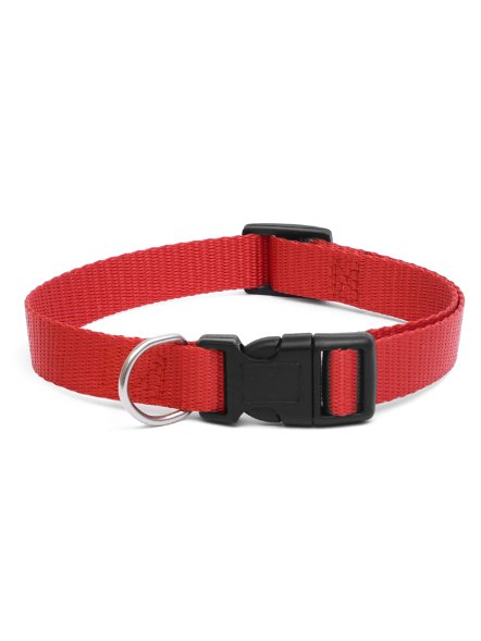 PetSHOP - Ошейник для собак, 25-40x1,5 см