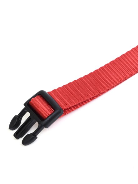 PetSHOP - Ошейник для собак, 25-40x1,5 см