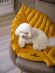 Mr.Kranch - Лежанка для собак Листочек средняя двусторонняя с имитацией кожи, размер 90х65х5см