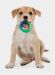 Petstages - Игрушка "ОРКА кольцо - растем вместе", для собак, мультиповерхность, 15 см