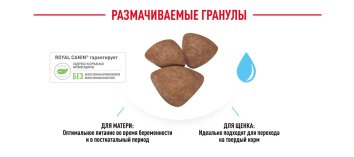 Royal Canin Medium Starter - Сухой корм для щенков до 2 месяцев и беременных