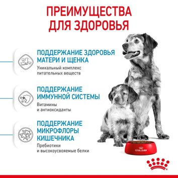 Royal Canin Medium Starter - Сухой корм для щенков до 2 месяцев и беременных