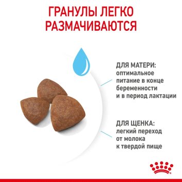 Royal Canin Medium Starter - Сухой корм для щенков до 2 месяцев и беременных