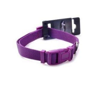 Papillon - Нейлоновый ошейник для собак 25мм - 48-70см