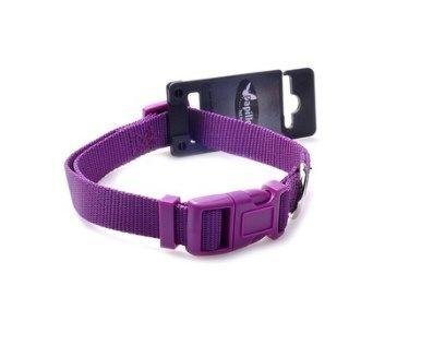 Papillon - Нейлоновый ошейник для собак 25мм - 48-70см