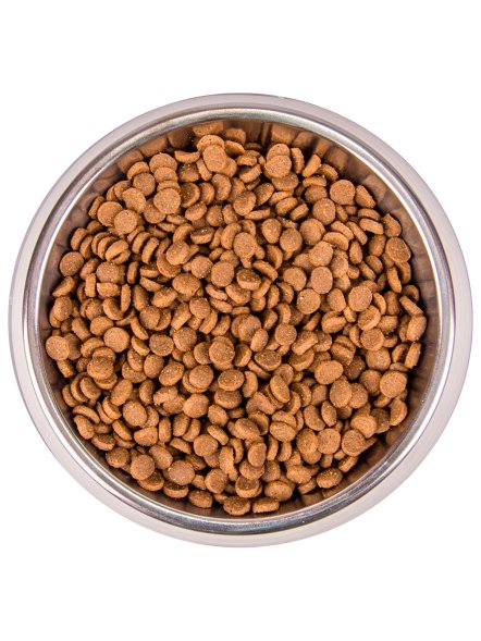 Monge Monoprotein (Монопротеин) - Сухой корм для котят с форелью