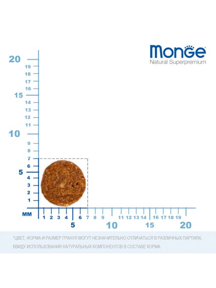 Monge Monoprotein (Монопротеин) - Сухой корм для котят с форелью