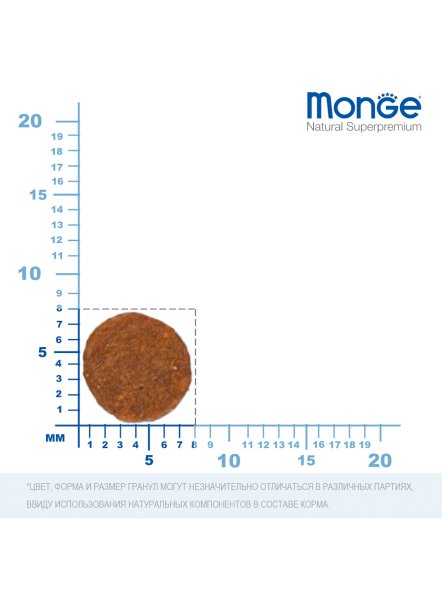 Monge Monoprotein (Монопротеин) - Сухой корм для котят с форелью