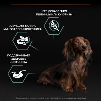 Pro Plan Grain Free - Беззерновой сухой корм для малых пород собак с индейкой (Small)
