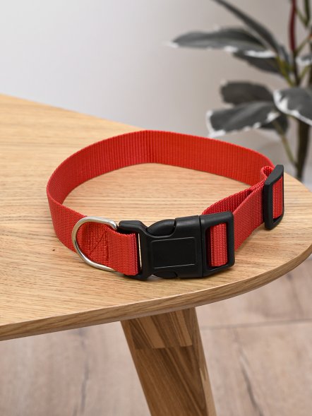 PetSHOP - Ошейник для собак, 35-52x2,5 см