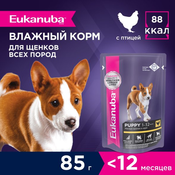 Eukanuba - Влажный корм для щенков, с курицей 85гр