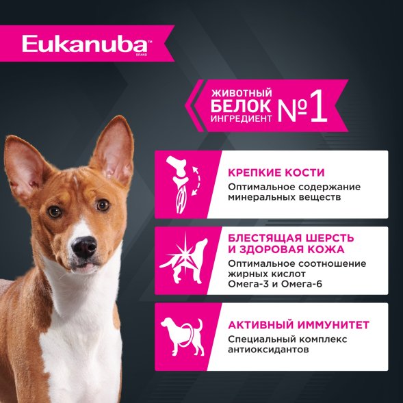 Eukanuba - Влажный корм для взрослых собак, с курицей 100гр