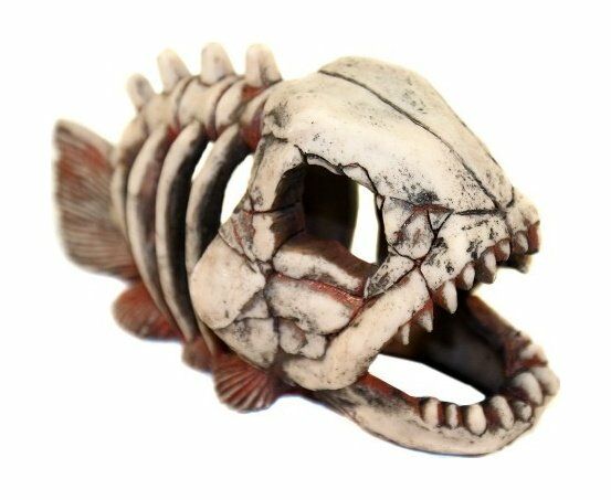 44835.580 DEKSI - Skelet ribi-dekor dlya akvariyma 22*11*14sm kypit v zoomagazine «PetXP» DEKSI - Скелет рыбы-декор для аквариума 22*11*14см