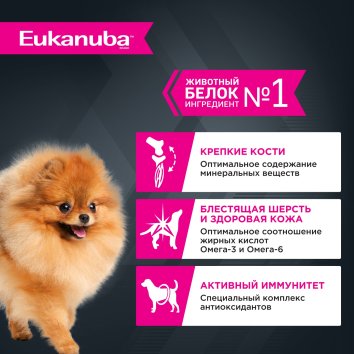 Eukanuba - Влажный корм для взрослых собак, с говядиной 100 гр