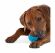 Petstages - Игрушка "ОРКА теннисный мяч", для собак, 6 см