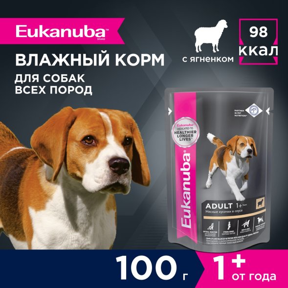 Eukanuba - Влажный корм для взрослых собак, с ягненком 100 гр