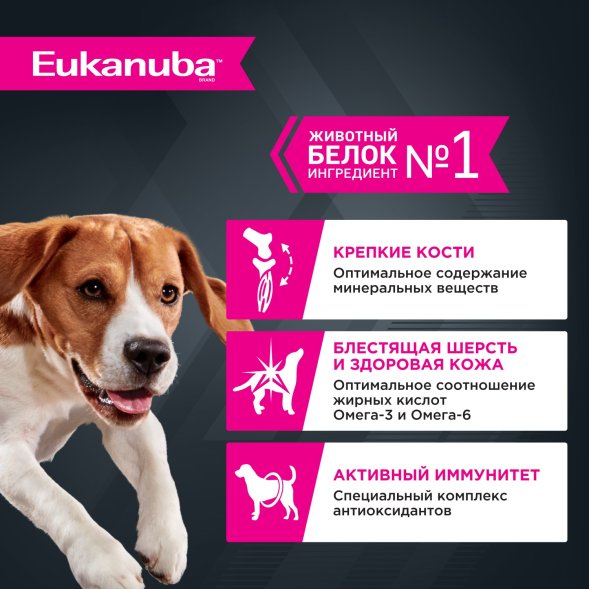 Eukanuba - Влажный корм для взрослых собак, с ягненком 100 гр