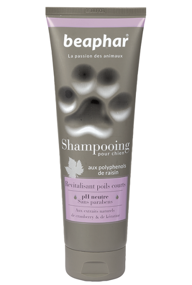Beaphar - шампунь для собак с короткой шерстью 250 мл (Shampooing Revitalisant poils courts)