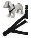 Papillon - Светоотражающая шлейка, нейлон 15мм-40-50см, черный (Reflective nylon harness, 15 mm x 40 - 50 cm, colour black) 170437