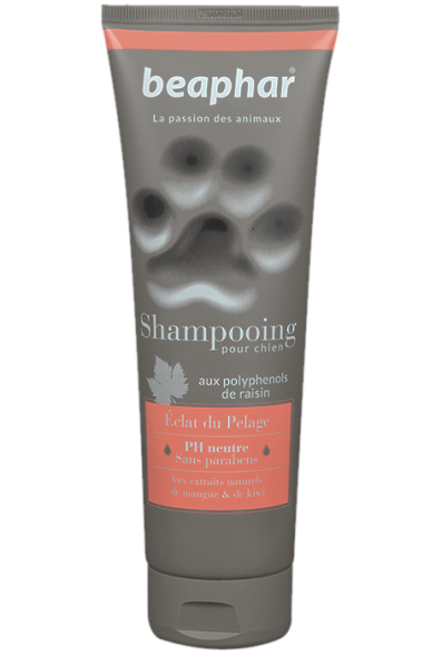 Beaphar - шампунь для собак Блестящая шерсть 250 мл (Shampooing eclat du Pelage)