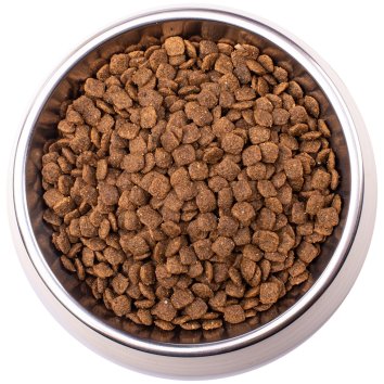 Monge VetSolution Hepatic - Диетический корм для кошек, при заболеваниях печени